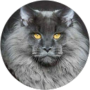 Δημήτρης Μίκροβας