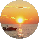 Elvie Keil profile picture