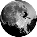 Mrs Roth profile picture