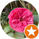 Sarah S. profile picture