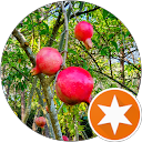 silky smooth profile picture